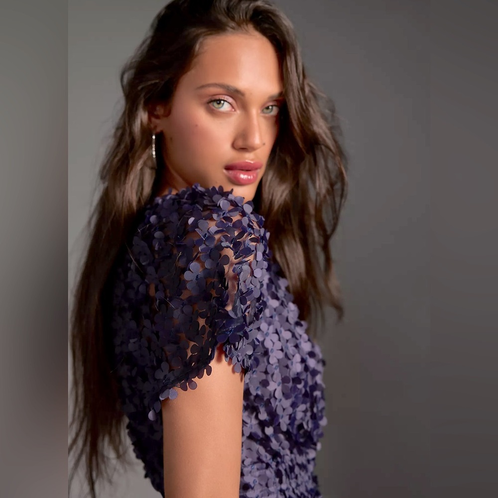 NWT Anthropologie The Somerset Mini Dress: 3D Floral Applique Edition, blue Sz S